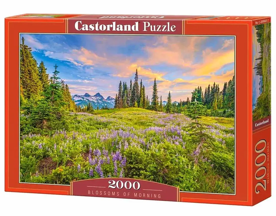 Puzzle 2000 Piezas | Flores de la Mañana 1