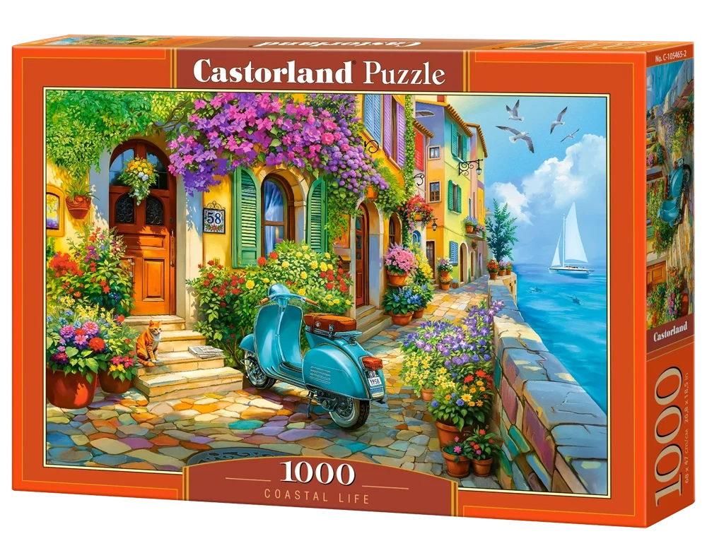 Puzzle 1000 Piezas