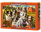 Puzzle 1000 Piezas | Perros Felices en el Campo - Miniatura 1