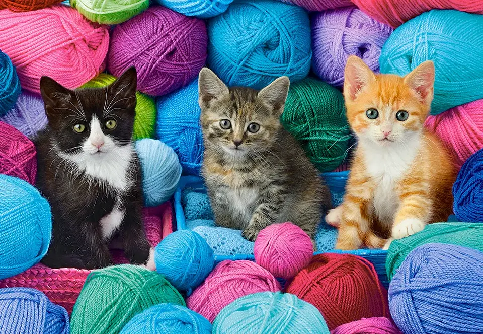 Puzzle 1000 Piezas | Gatitos en la Tienda de Lana 2