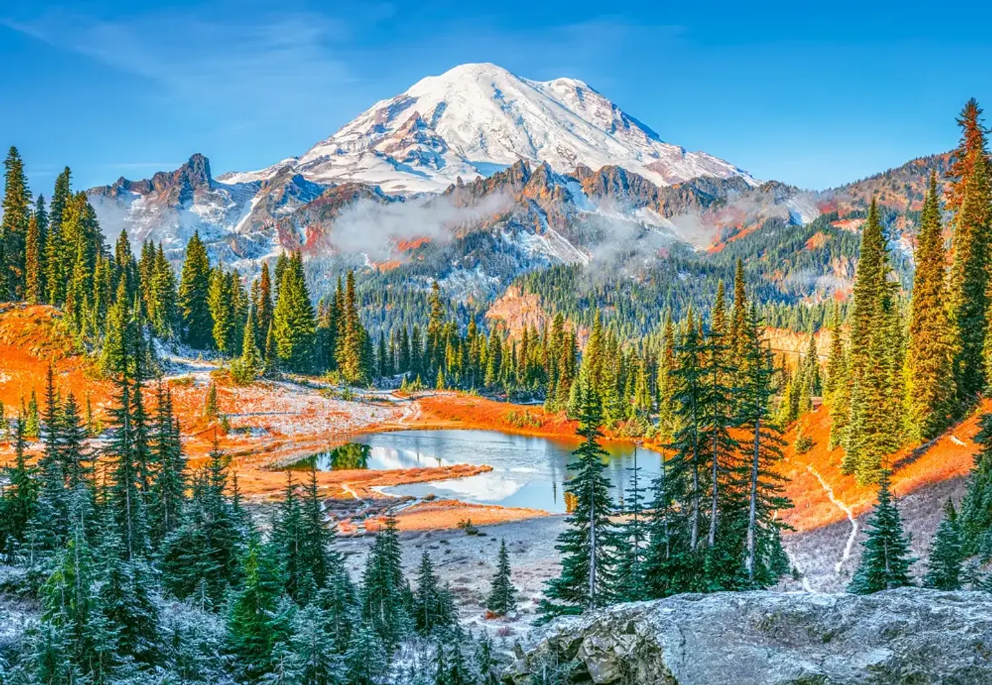 Puzzle 1000 Piezas | Parque Nacional Monte Rainier, EE. UU. 2