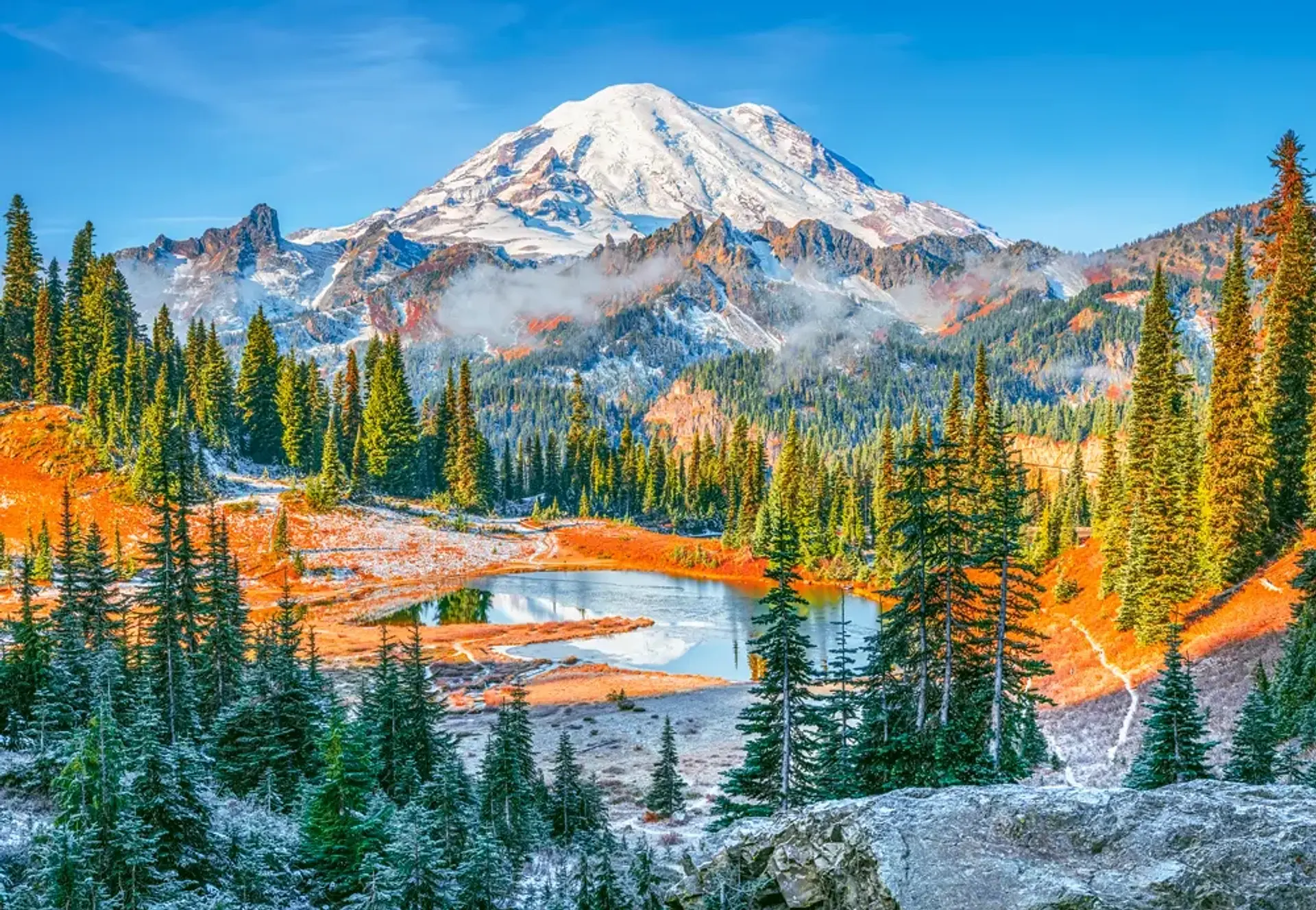 Puzzle 1000 Piezas | Parque Nacional Monte Rainier, EE. UU. 2