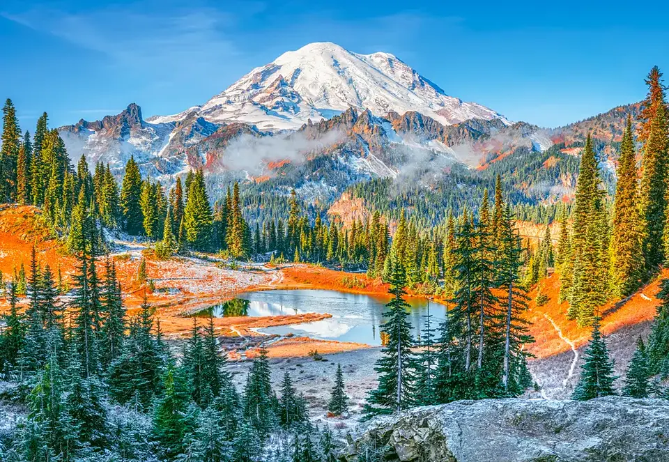 Puzzle 1000 Piezas | Parque Nacional Monte Rainier, EE. UU. 2