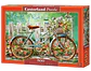 Puzzle 500 Piezas | Hermoso Paseo - Miniatura 1