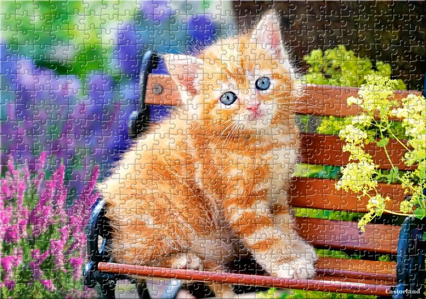 Puzzle 500 Piezas | Gatito Pelirrojo 4