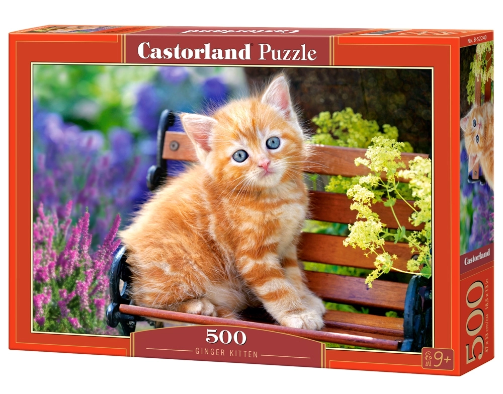 Puzzle 500 Piezas