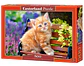 Puzzle 500 Piezas | Gatito Pelirrojo - Miniatura 1