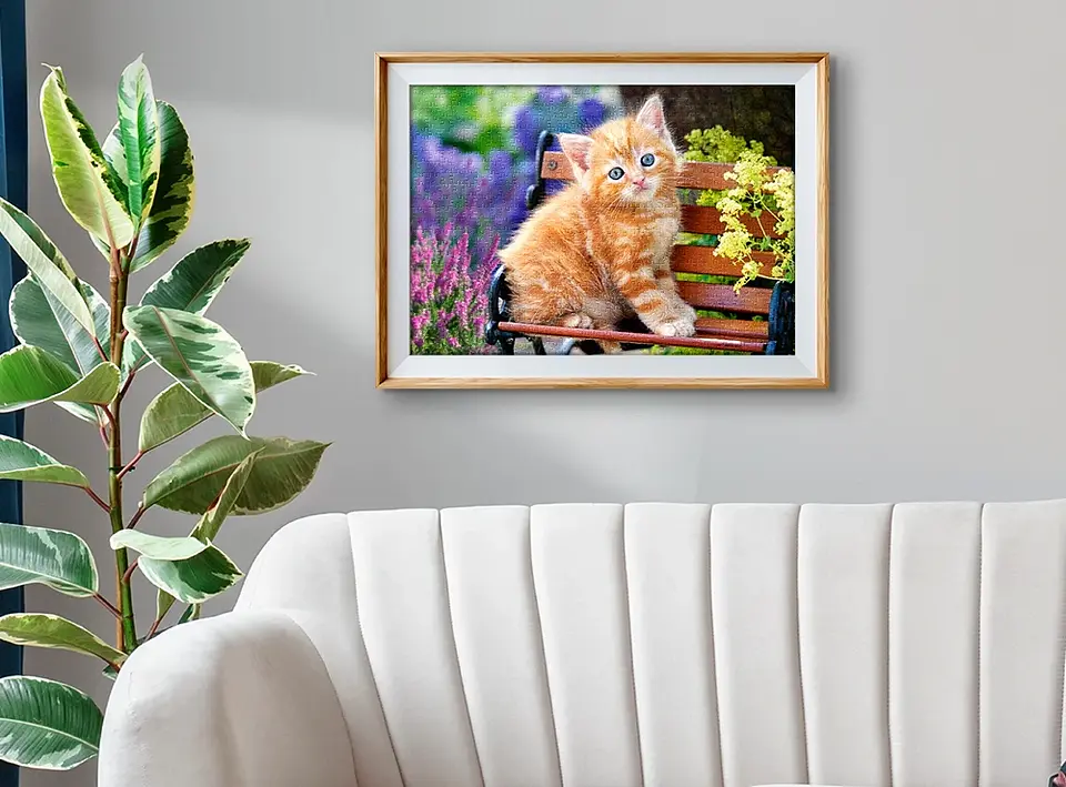 Puzzle 500 Piezas | Gatito Pelirrojo 3