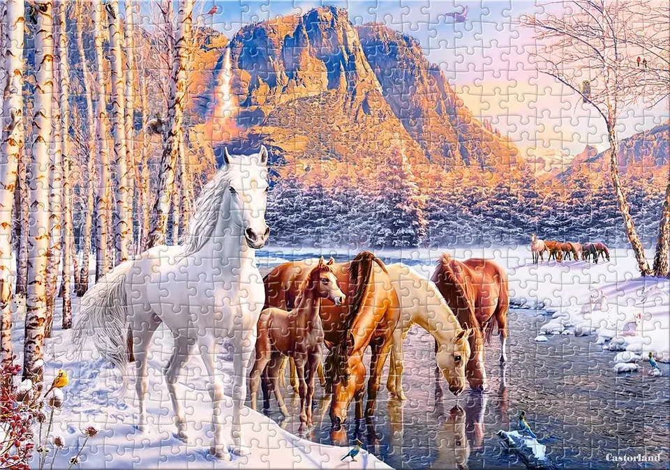 Puzzle 500 Piezas | Deshielo Invernal 3
