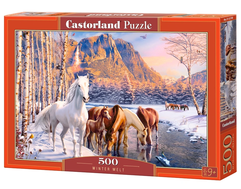 Puzzle 500 Piezas