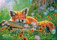 Puzzle 500 Piezas | Sueños de Zorros - Miniatura 4