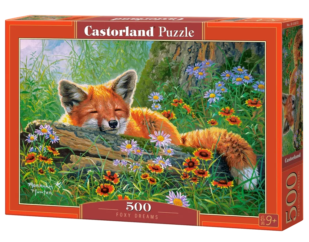 Puzzle 500 Piezas