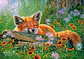 Puzzle 500 Piezas | Sueños de Zorros - Miniatura 2