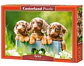 Puzzle 500 Piezas | Tiernos Perros Salchicha - Miniatura 1
