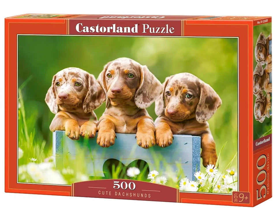 Puzzle 500 Piezas | Tiernos Perros Salchicha 1