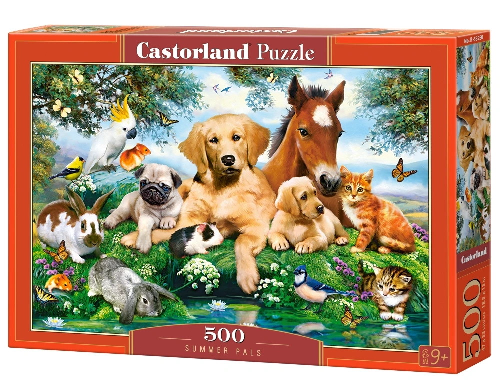 Puzzle 500 Piezas