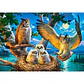 Puzzle 500 Piezas | Familia de Búhos - Miniatura 2