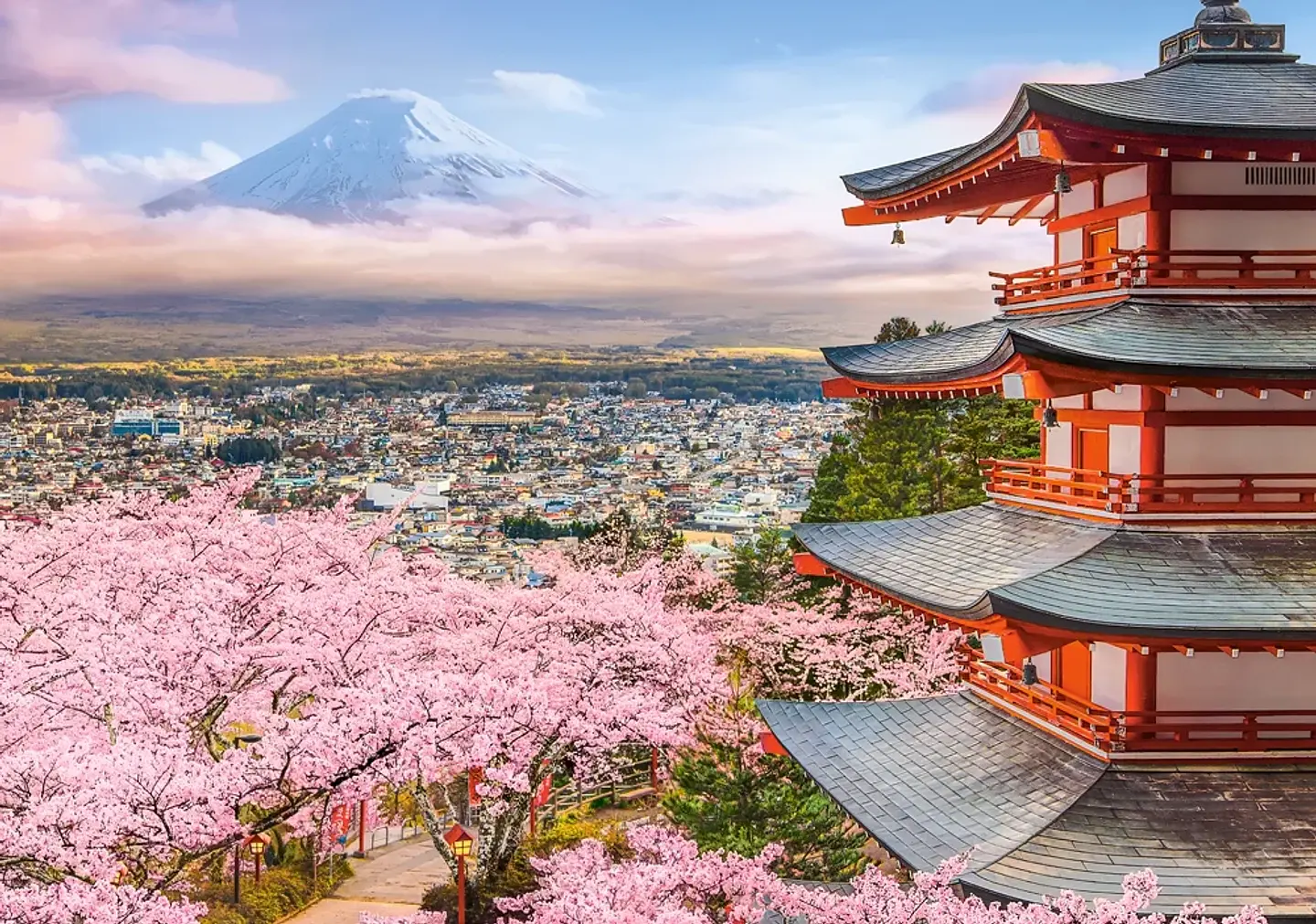 Puzzle 500 Piezas | Primavera en Japón 2