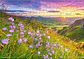 Puzzle 500 Piezas | Campanillas al Amanecer - Miniatura 4