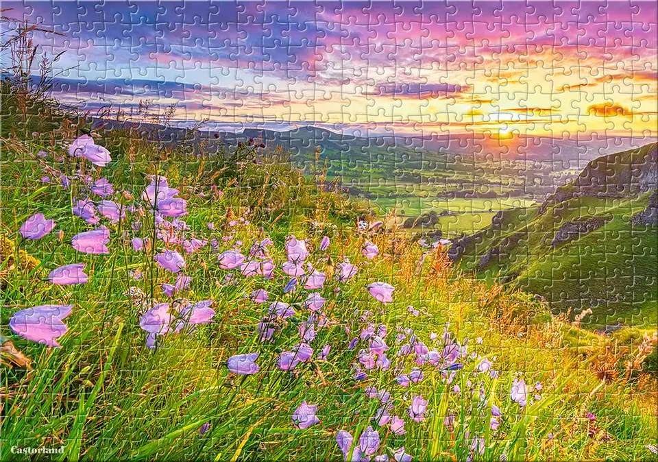 Puzzle 500 Piezas | Campanillas al Amanecer 4