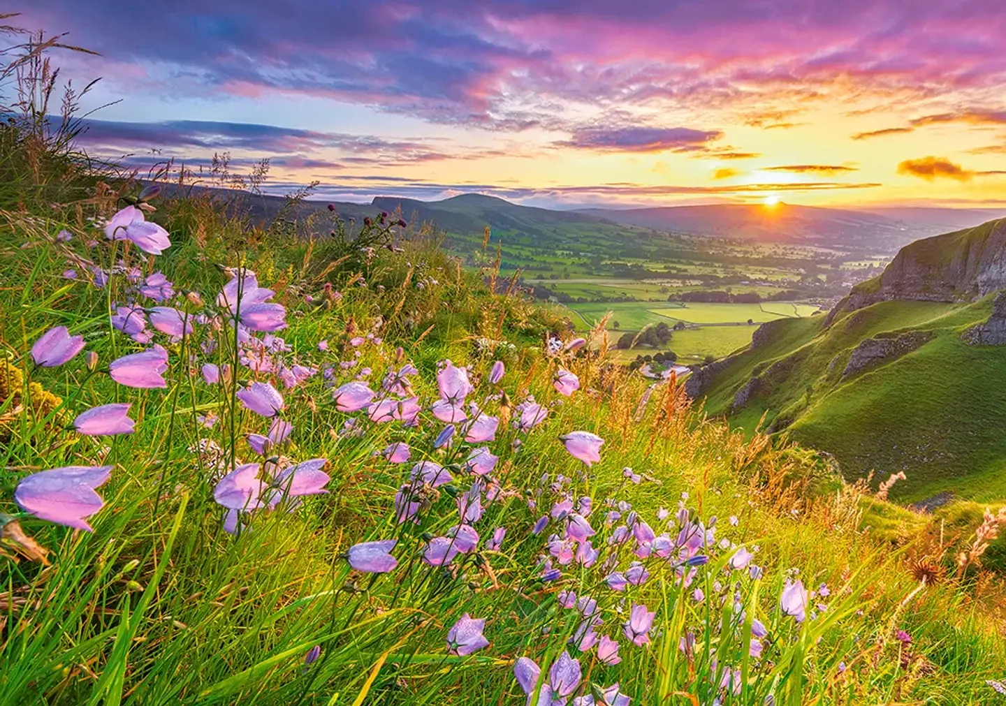 Puzzle 500 Piezas | Campanillas al Amanecer 2
