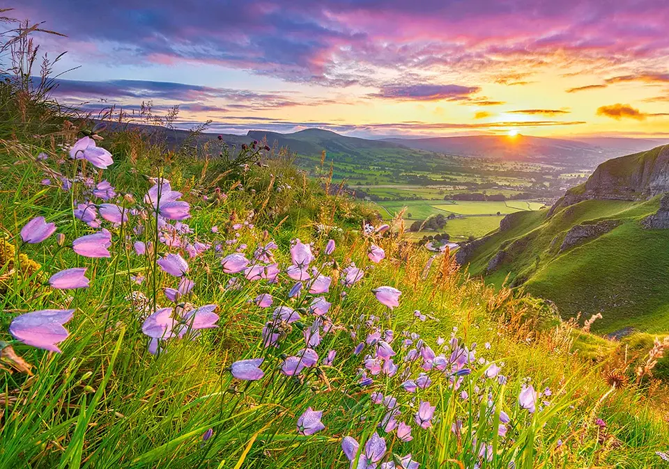 Puzzle 500 Piezas | Campanillas al Amanecer 2