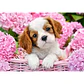 Puzzle 500 Piezas | Cachorro entre Flores Rosadas - Miniatura 2
