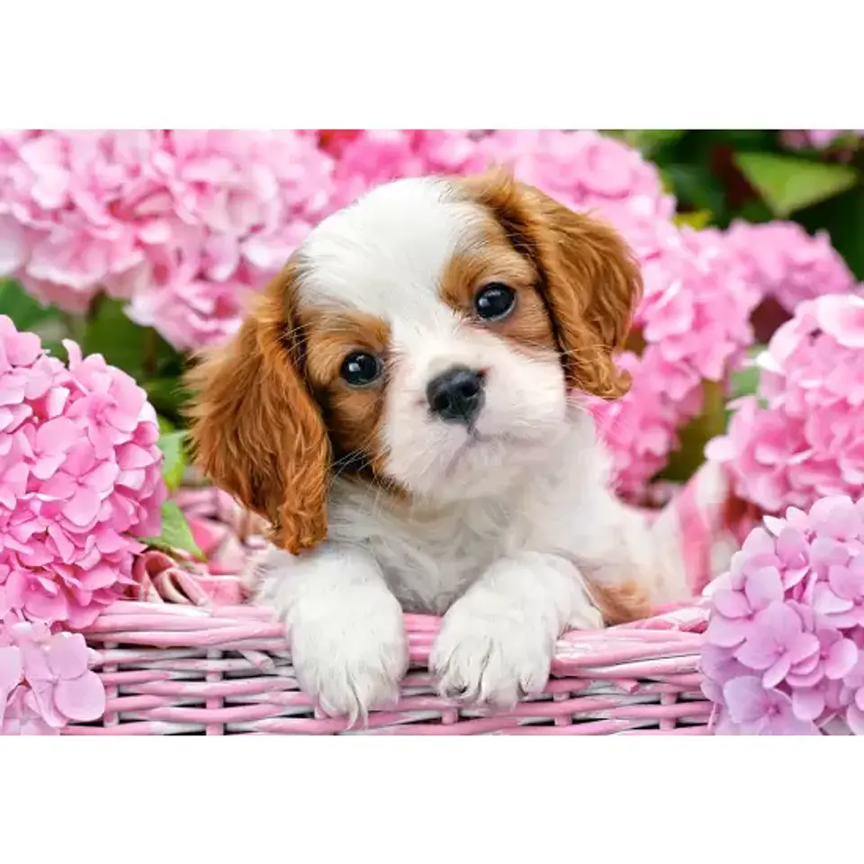 Puzzle 500 Piezas | Cachorro entre Flores Rosadas 2