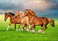 Puzzle 500 Piezas | Caballos Galopando en Primavera - Miniatura 4
