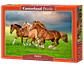 Puzzle 500 Piezas | Caballos Galopando en Primavera - Miniatura 1