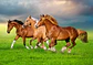 Puzzle 500 Piezas | Caballos Galopando en Primavera - Miniatura 2