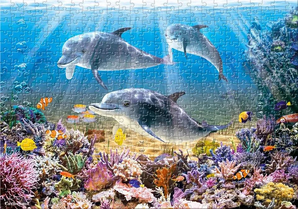 Puzzle 500 Piezas | Delfines Bajo el Agua 4