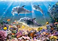 Puzzle 500 Piezas | Delfines Bajo el Agua - Miniatura 3