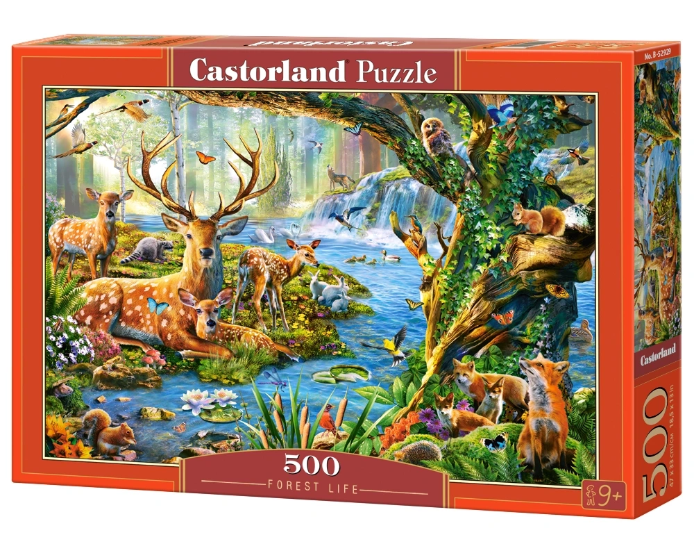 Puzzle 500 Piezas