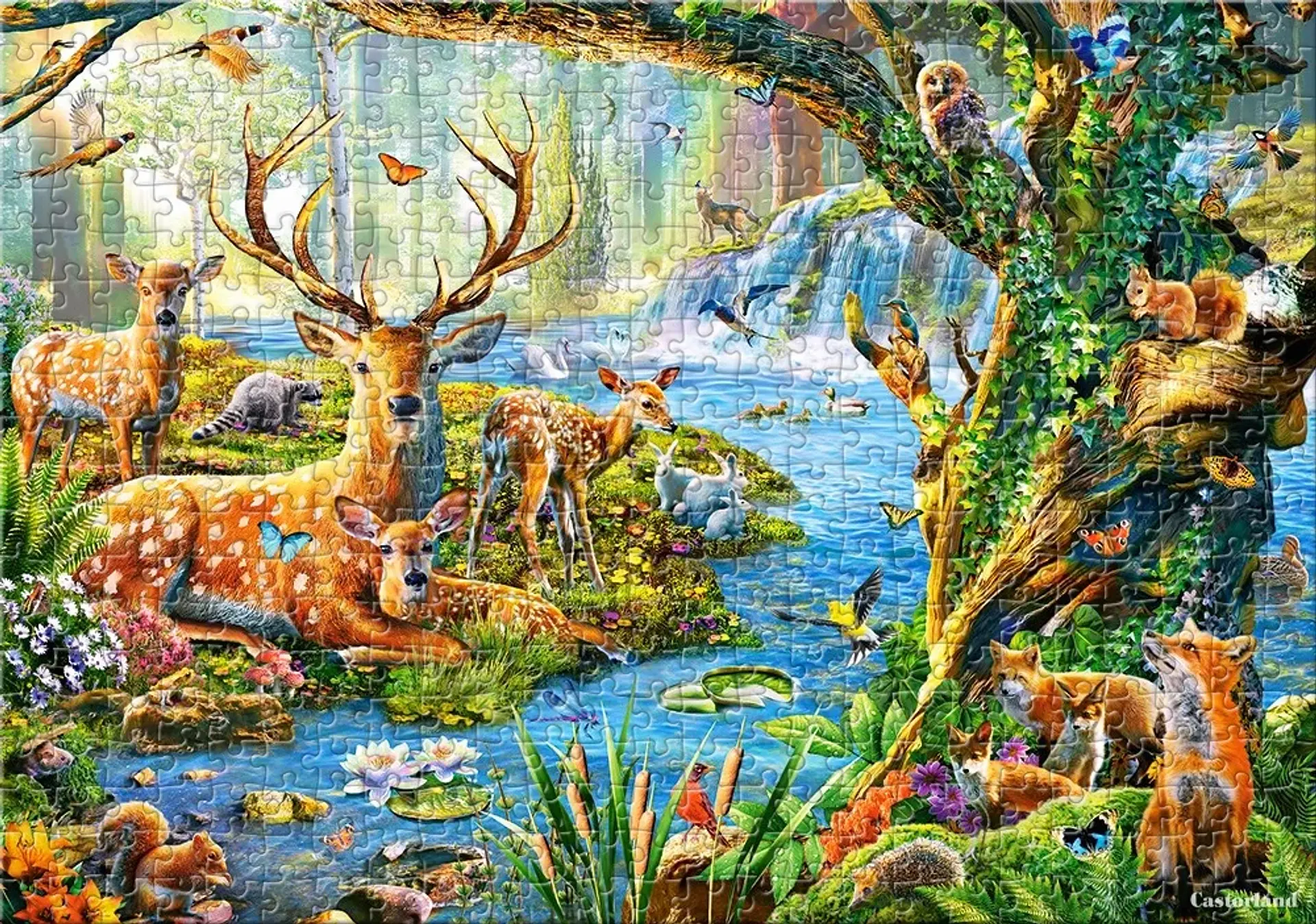 Puzzle 500 Piezas | Vida en el Bosque 4