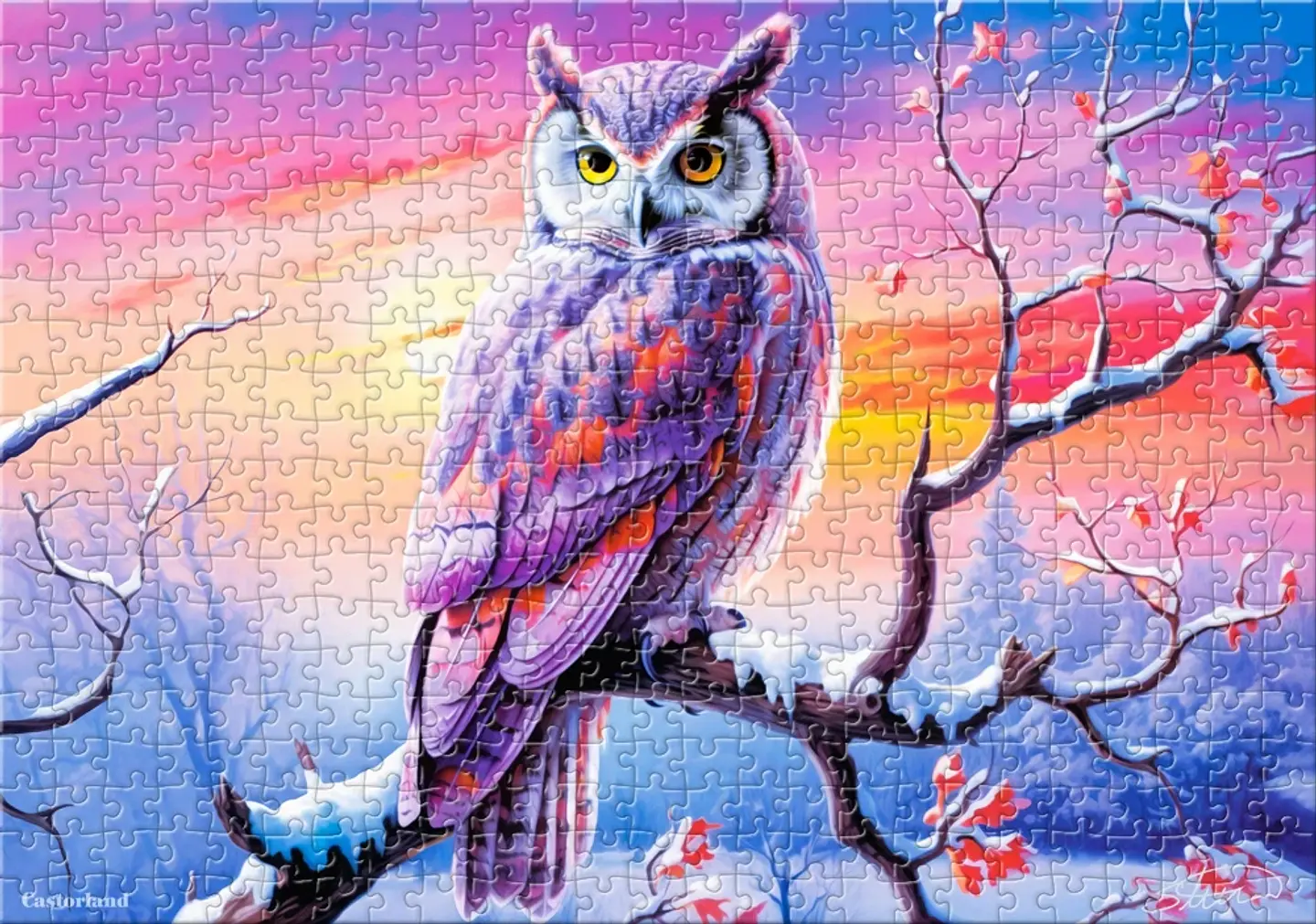 Puzzle 500 Piezas | La Velada Perfecta del Búho 4