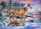 Puzzle 500 Piezas | País de Maravillas de Lobos - Miniatura 4