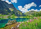 Puzzle 500 Piezas | Czarny Staw pod Rysami, Tatras, Polonia - Miniatura 4
