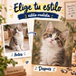 Puzzle Artístico de Mascota | Transforma a tu Peludo - Miniatura 5