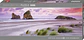 Puzzle 1000 Piezas Panorámico | Wharariki Beach - Miniatura 1