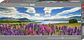 Puzzle 1000 Piezas Panorámico | Lake Tekapo - Miniatura 1