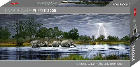 Puzzle 2000 Piezas Panorámico | Herd of Elephants