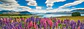 Puzzle 1000 Piezas Panorámico | Lake Tekapo - Miniatura 2