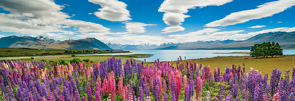 Puzzle 1000 Piezas Panorámico | Lake Tekapo 2