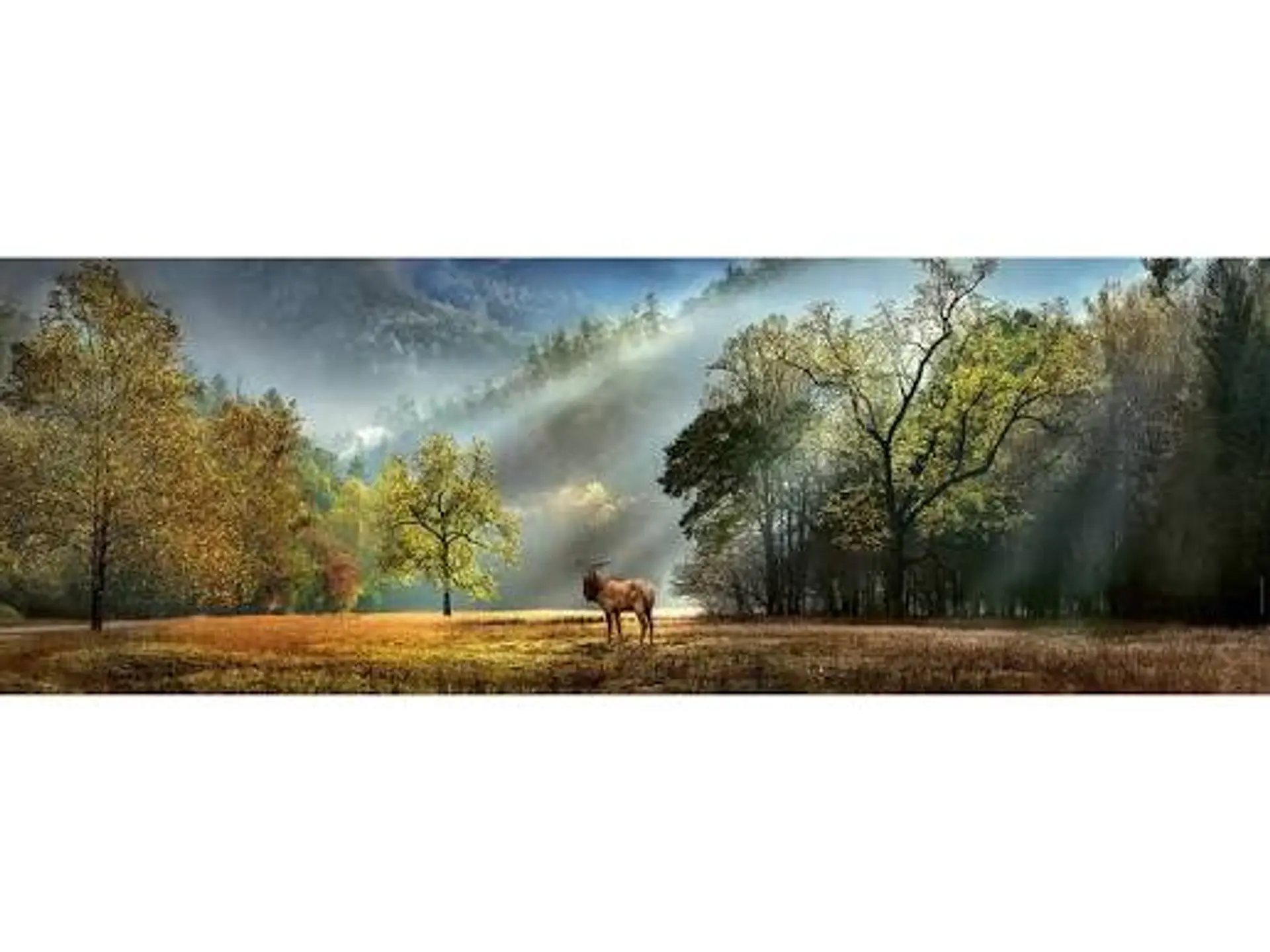 Puzzle 1000 Piezas Panorámico | Morning Salute 2