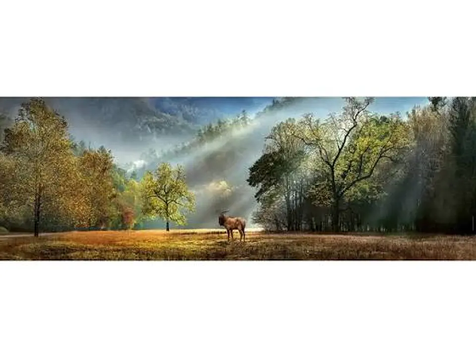 Puzzle 1000 Piezas Panorámico | Morning Salute 2