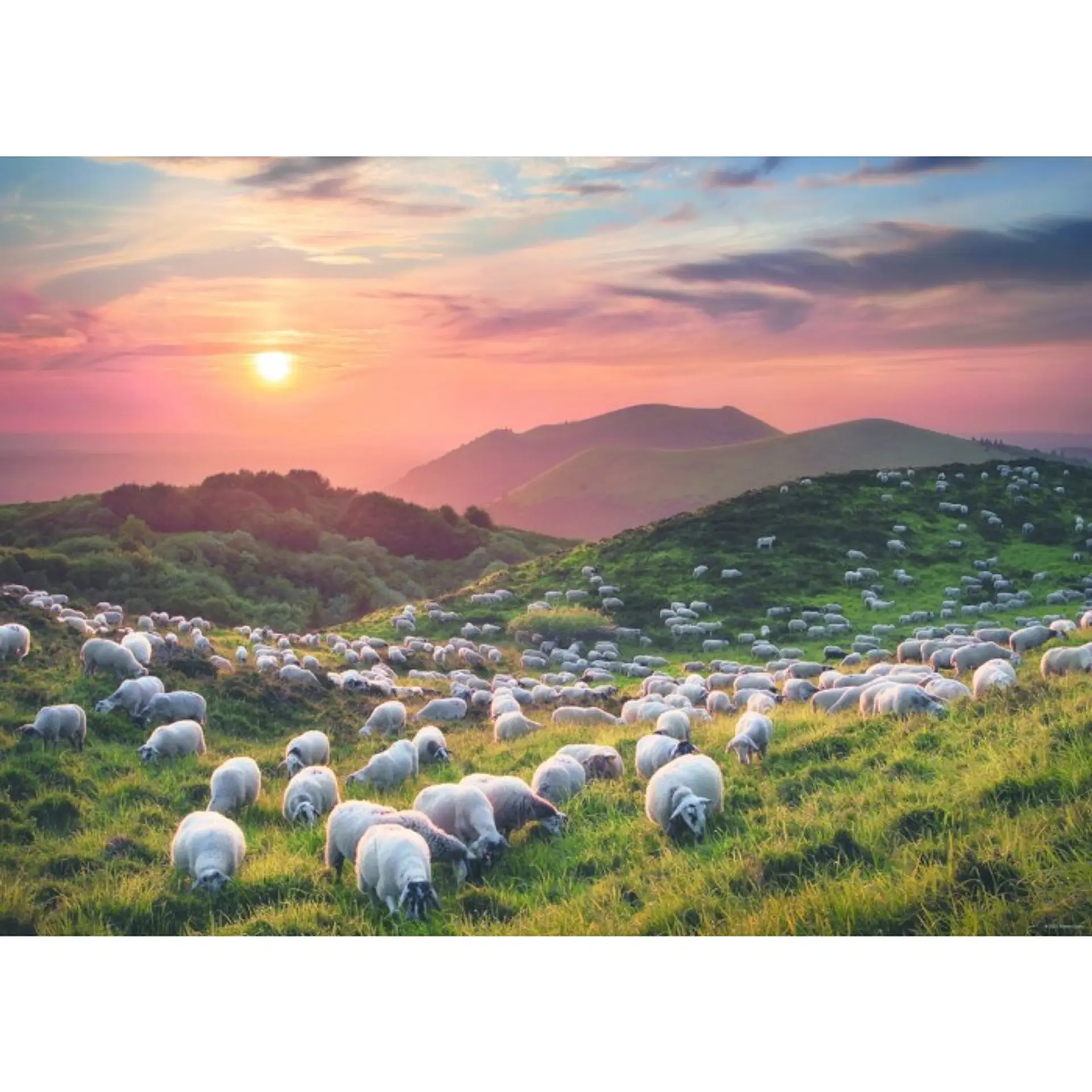 Puzzle 1000 Piezas | Sheep and Volcanoes 2