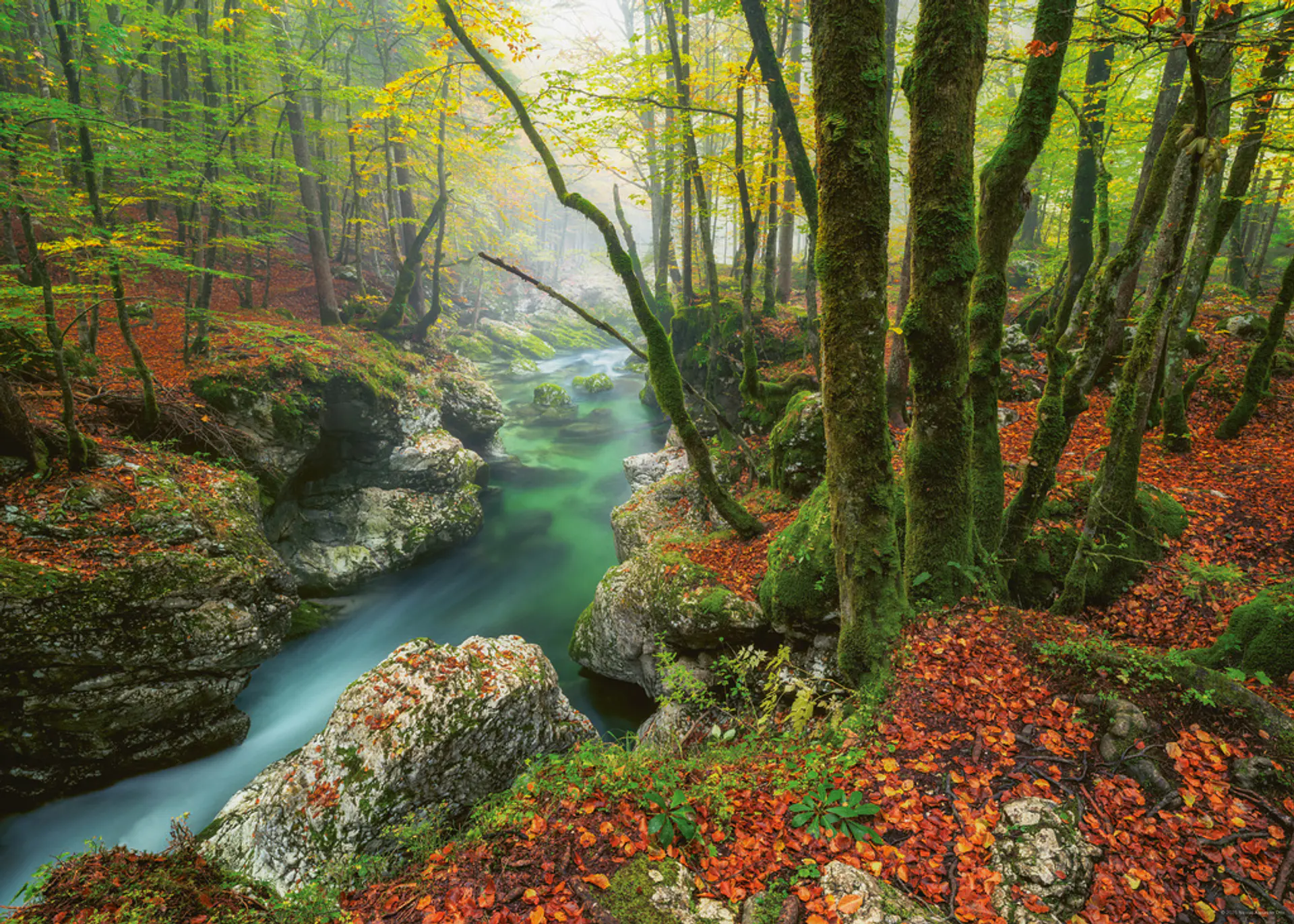 Puzzle 1000 Piezas | Little Brook 2