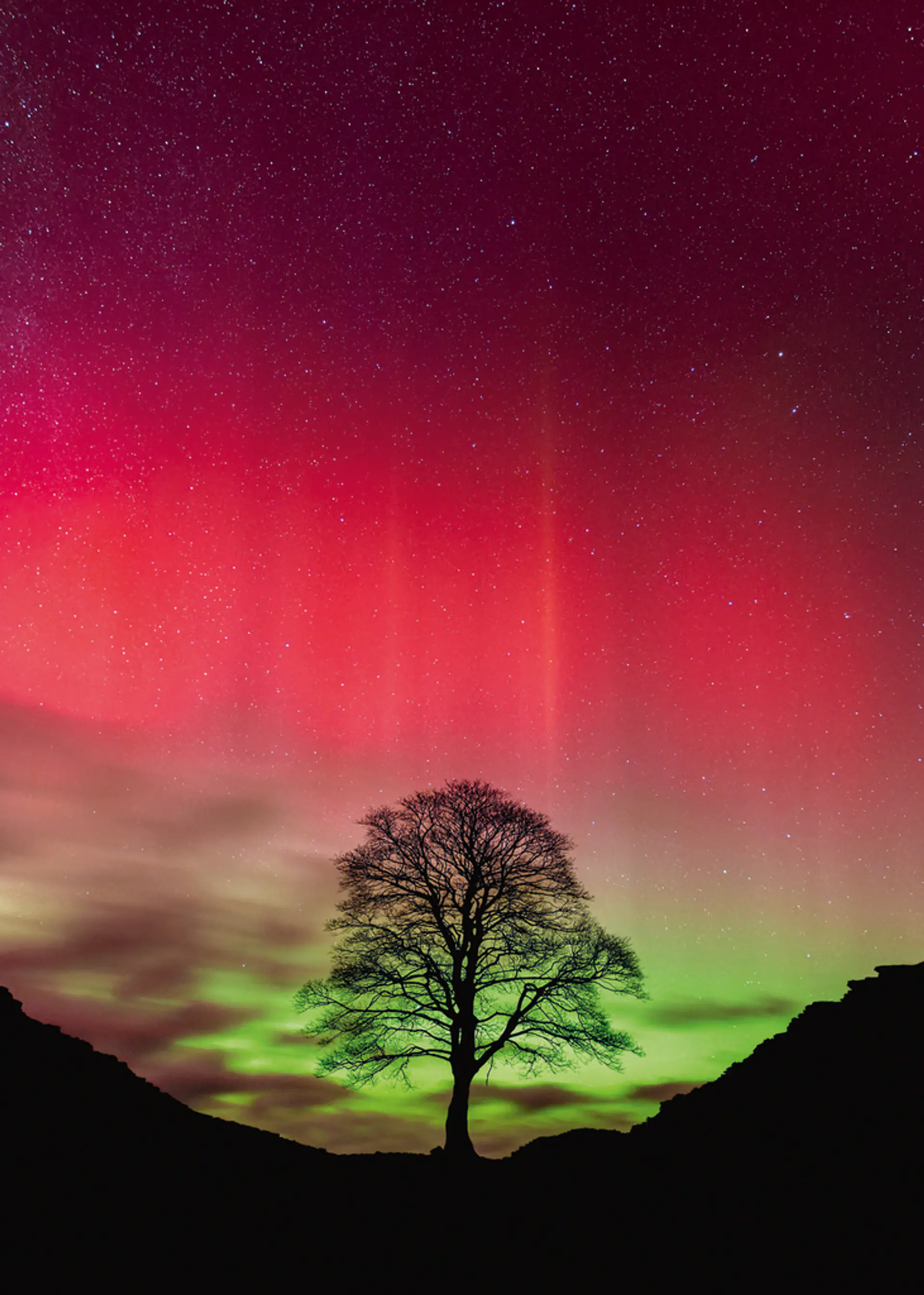 Puzzle 1000 Piezas | Sycamore Gap 2