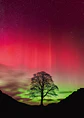 Puzzle 1000 Piezas | Sycamore Gap - Miniatura 2